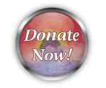 donate_button